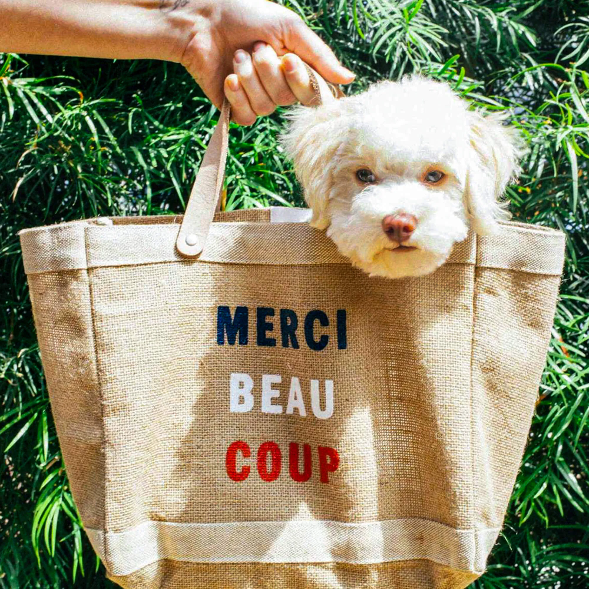 Petite Market Bag in Natural for Clare V. Merci Beau Coup
