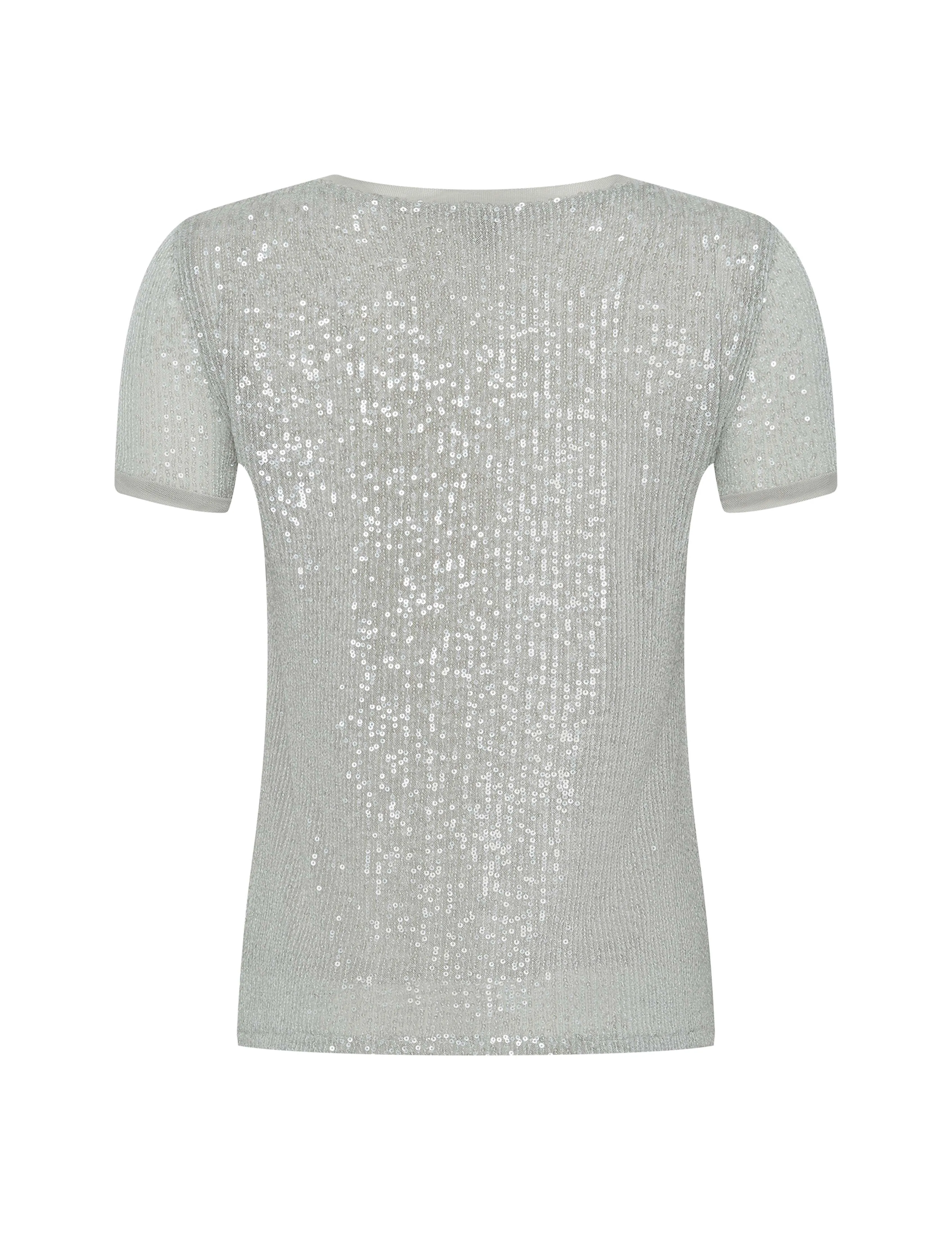 Petite Sequin Mesh Short Sleeve Tee