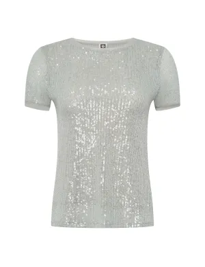 Petite Sequin Mesh Short Sleeve Tee