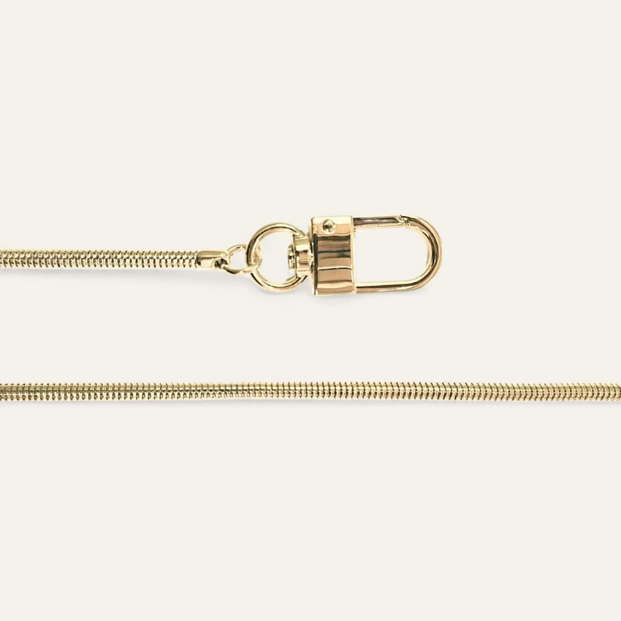 Snake Crossbody Chain | Gold